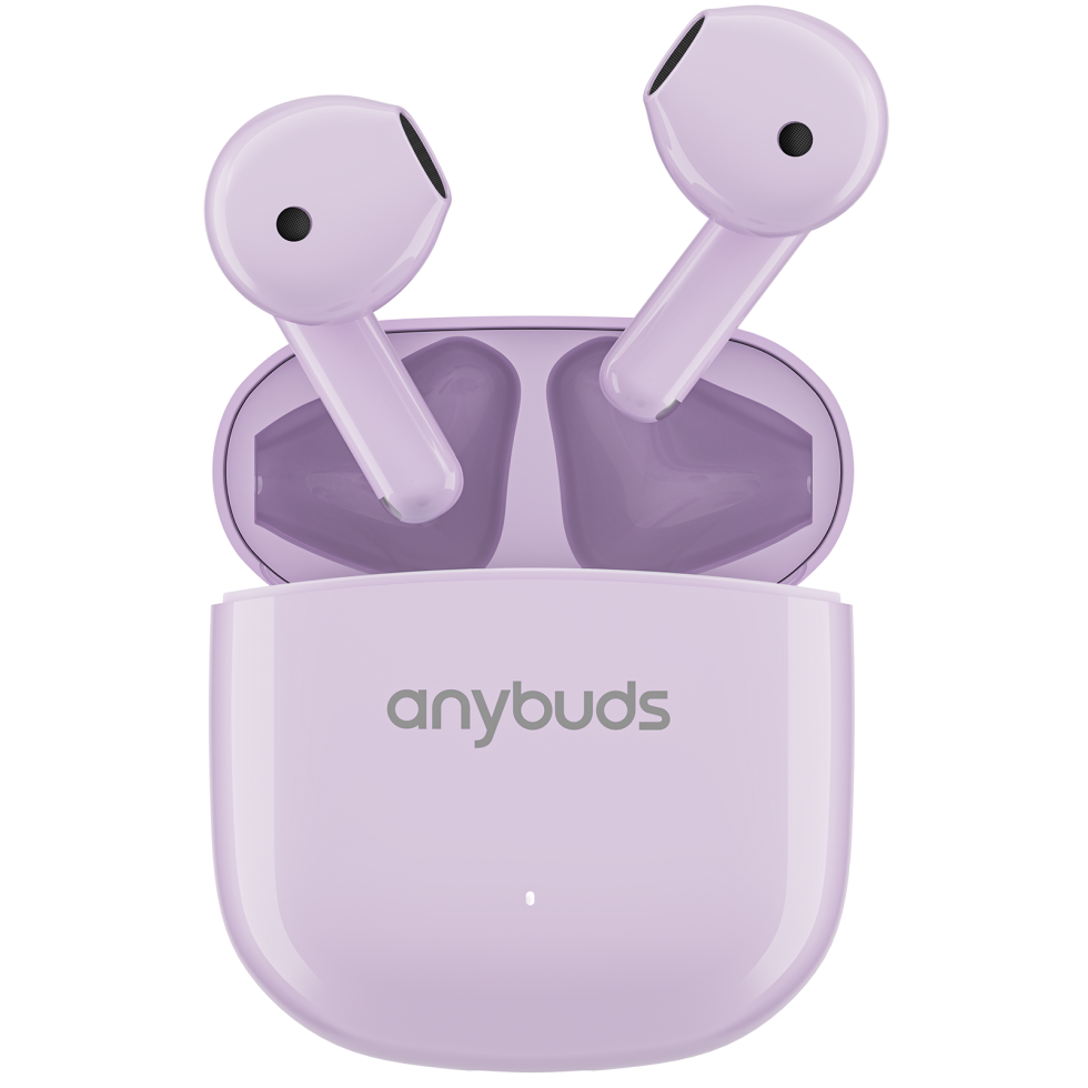 Anybuds Fits