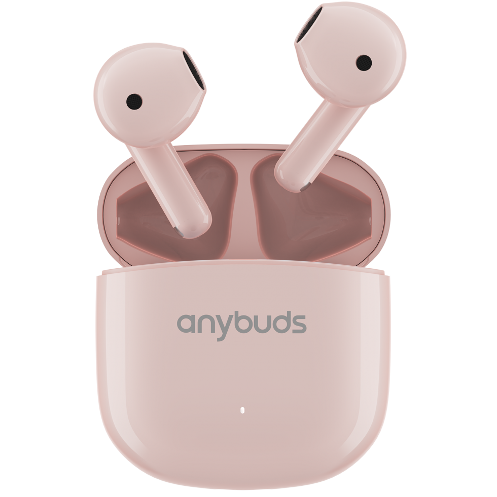 Anybuds Fits